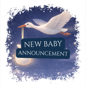 New Baby Stork Video – Personalized Animated Birth Announcement Keepsake