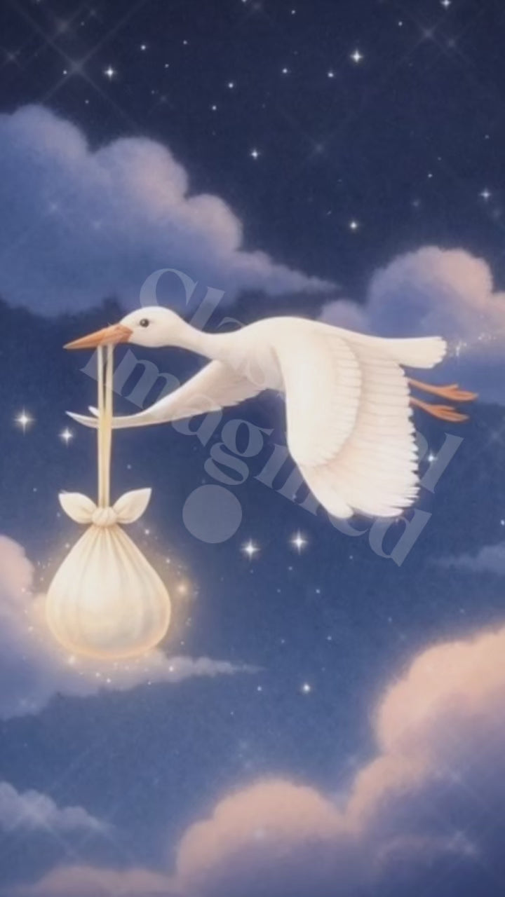 New Baby Stork Video – Personalized Animated Birth Announcement Keepsake